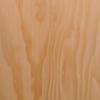Douglas Fir (Pseudotsuga menziesii)